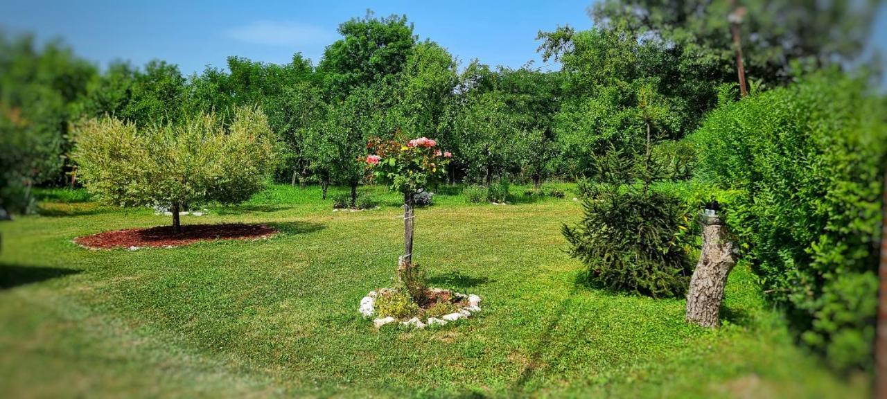 Gajica Konak-Orasac Aranđelovac Exterior foto